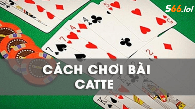 Cách chơi game bài catte